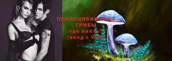 мдпв Зеленодольск