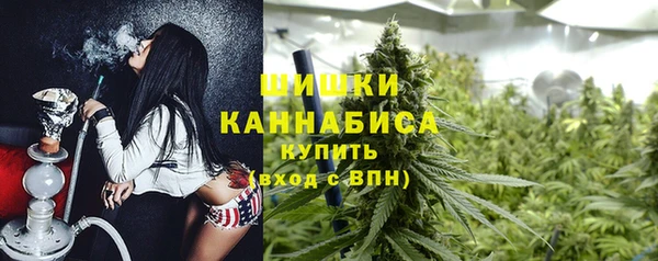 мдпв Зеленодольск