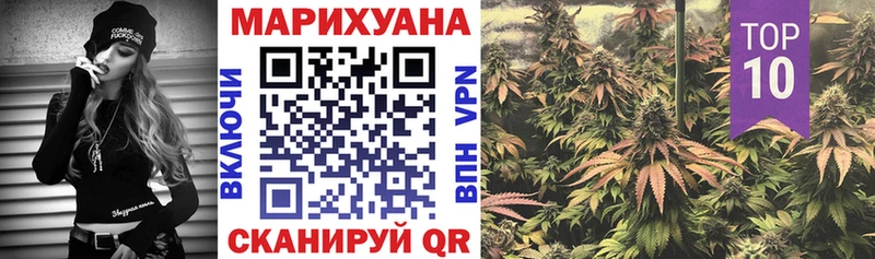 Шишки марихуана гибрид  Купить закладки  Ивдель 